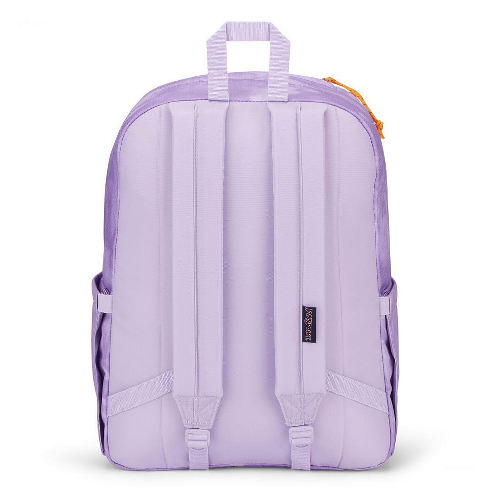 Sac à Dos Scolaire JanSport Double Break Violette | CEZ-11655964